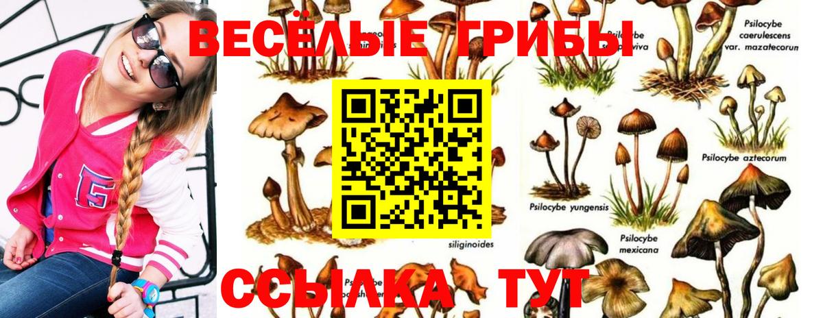 Псилоцибиновые грибы GOLDEN TEACHER  Вход с VPN  Гудермес 